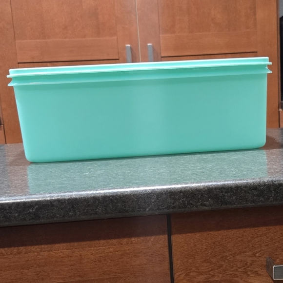 Tupperware Large Storage Tote - Picture 2 of 4